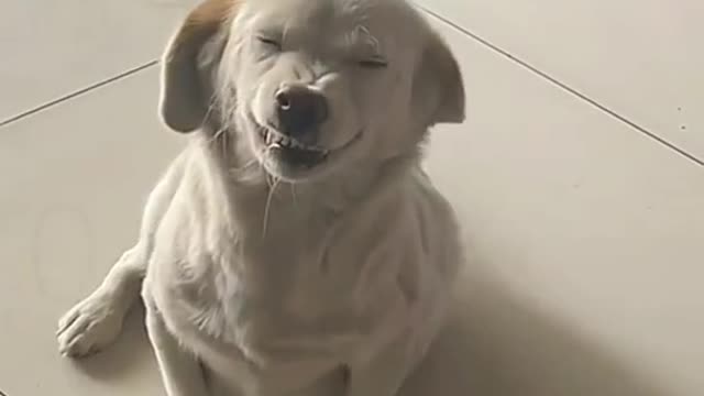 Remember to give your family and friends a big smile every day🥰🥰