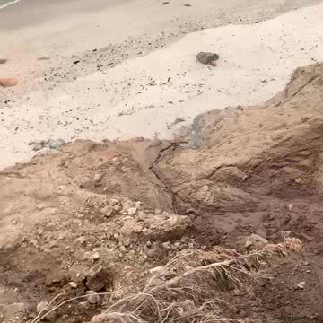 THAT’S WHY YOU STAY BEHIND THE BARRIER!