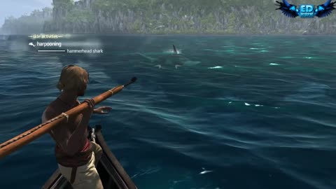 Assassin's Creed 4 All Harpooning Activities & The White Whale ( Moby Dick )