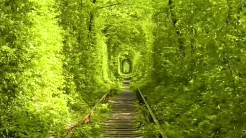 take a ride there by train😍 🚂🚋🚃🚋🚃🚋🚃