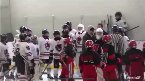 End of game brawl with the Long Island Royals