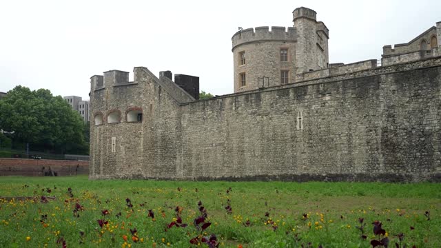 Tower of London moat in bloom for Platinum Jubilee