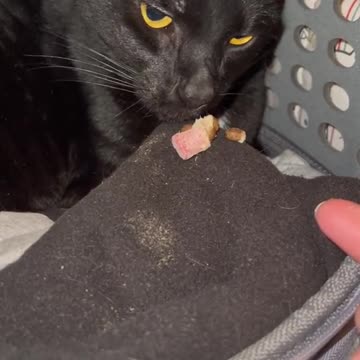 We moved. He is mad. It is a process 😳