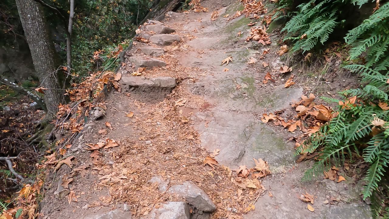 Mount Wilson trail