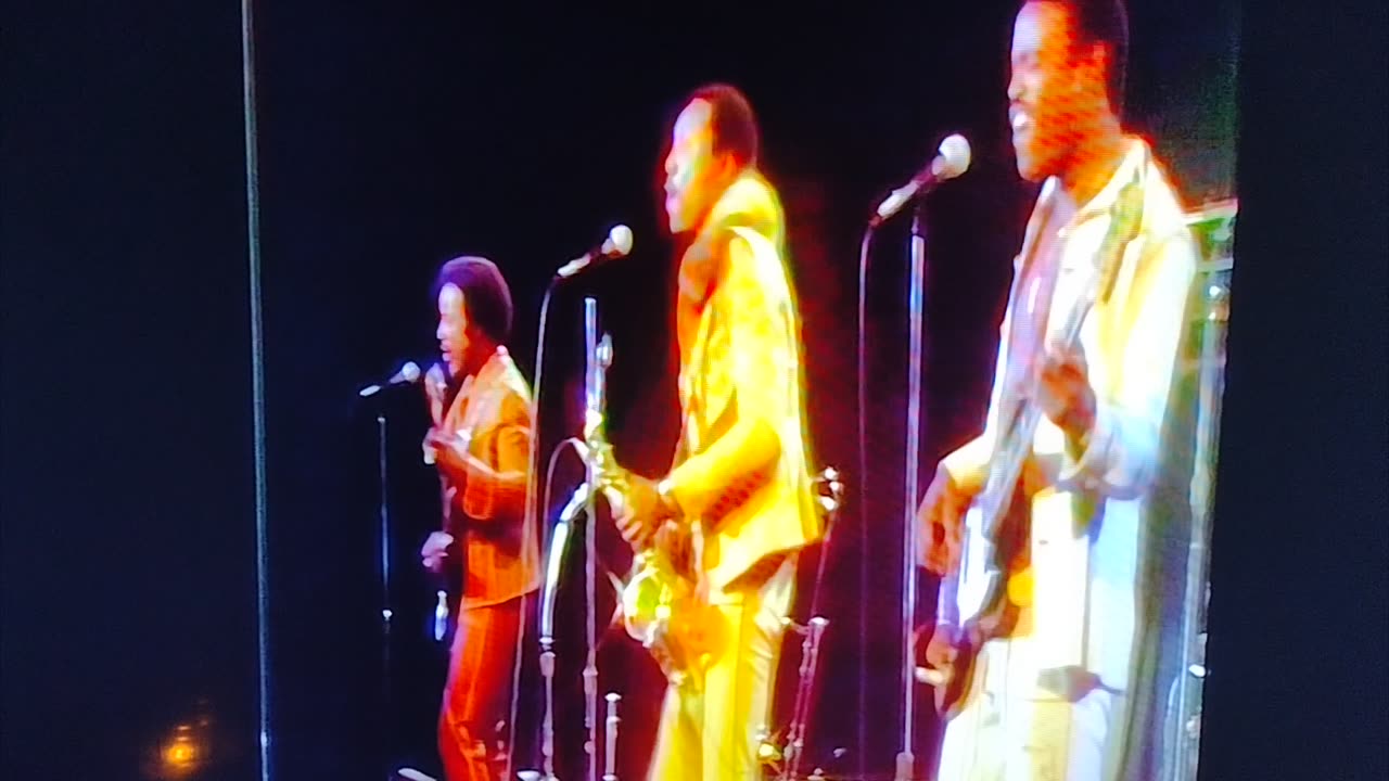 Brick: 1977 Dazz Live