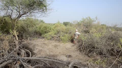 Waking up a huge wild elephant - guess what´s gonna happen with the camera on the end?