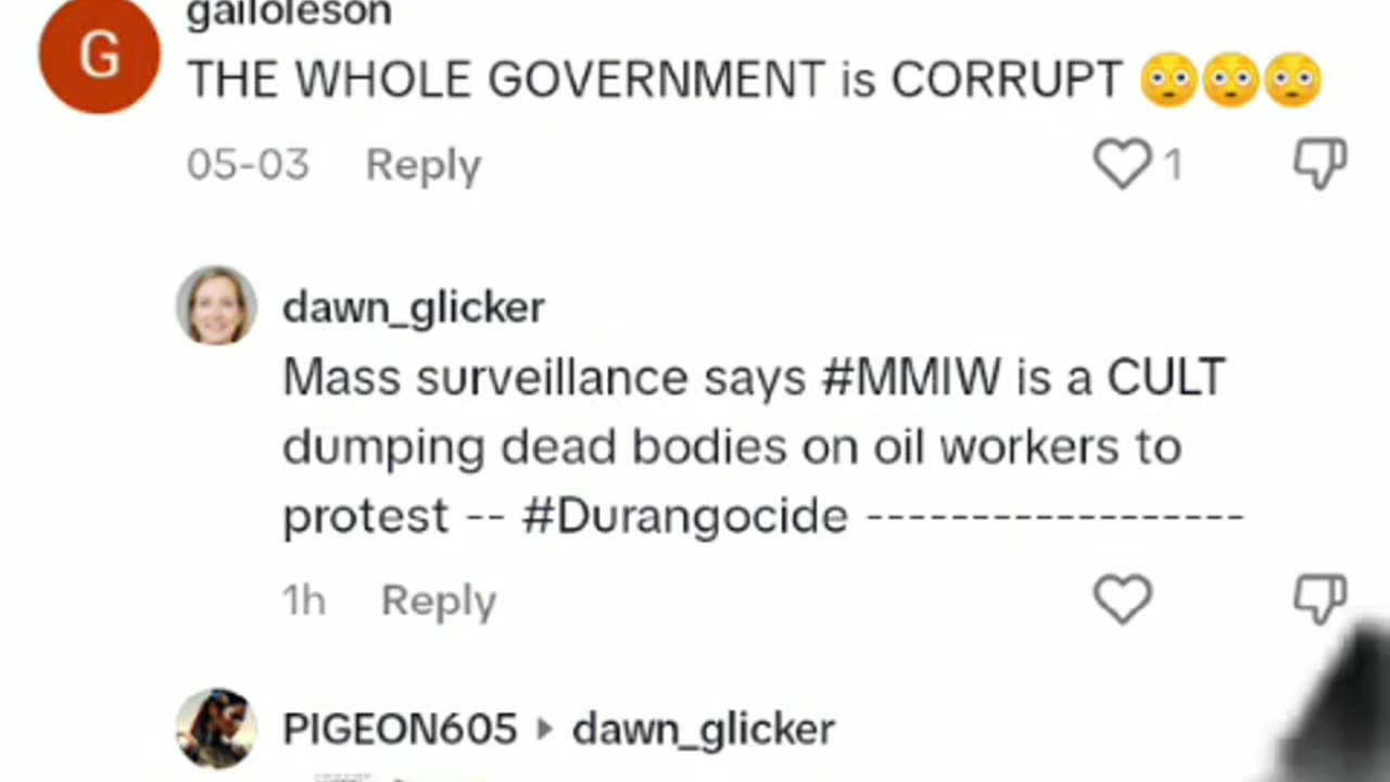#MunchausenByProxy #NarcissisticGaslighting #LandBack #mmiwawareness