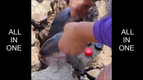 Fishing With Cold Drink Wawwwwwwwwww