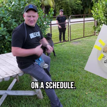 The Proper Way to Greet a Guard Dog