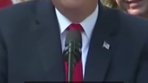 Trump Roasts a Reporter