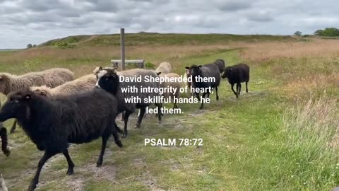Book of PSALM 78:72