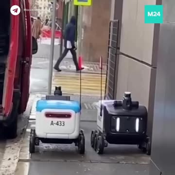 This sidewalk is not big enough for the both of us