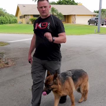 We’re Looking for a New Video Editor!