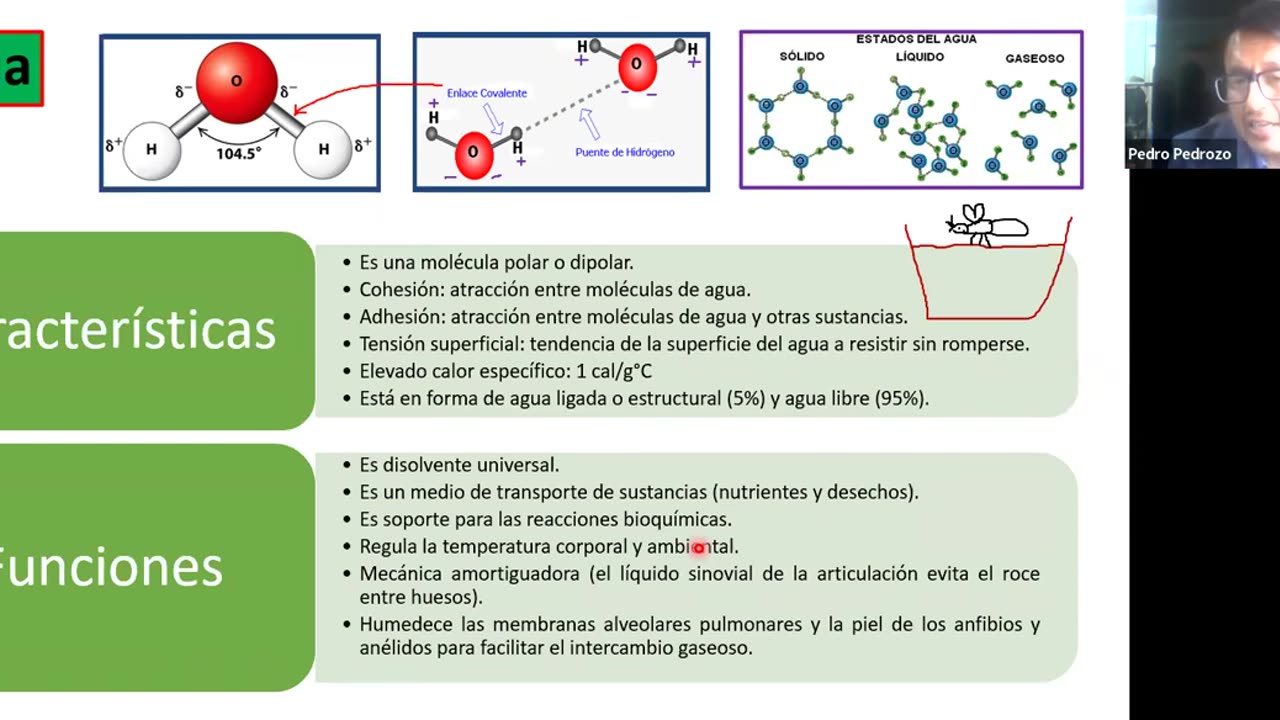 ADC SEMESTRAL 2022 Semana 01 BIOLOGIA PARTE II