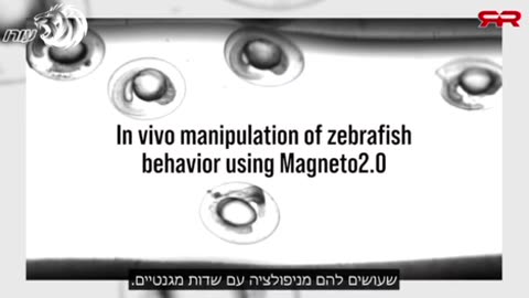 It was said 26 years ago