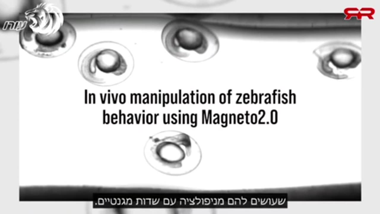 It was said 26 years ago