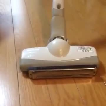 Funny vacuum cleaner vs harmonica vine