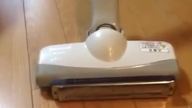 Funny vacuum cleaner vs harmonica vine