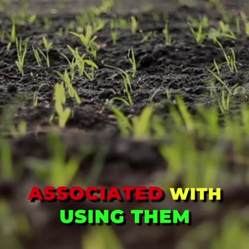 🌱 Unleash the potential of urban agriculture! 🌇🌿