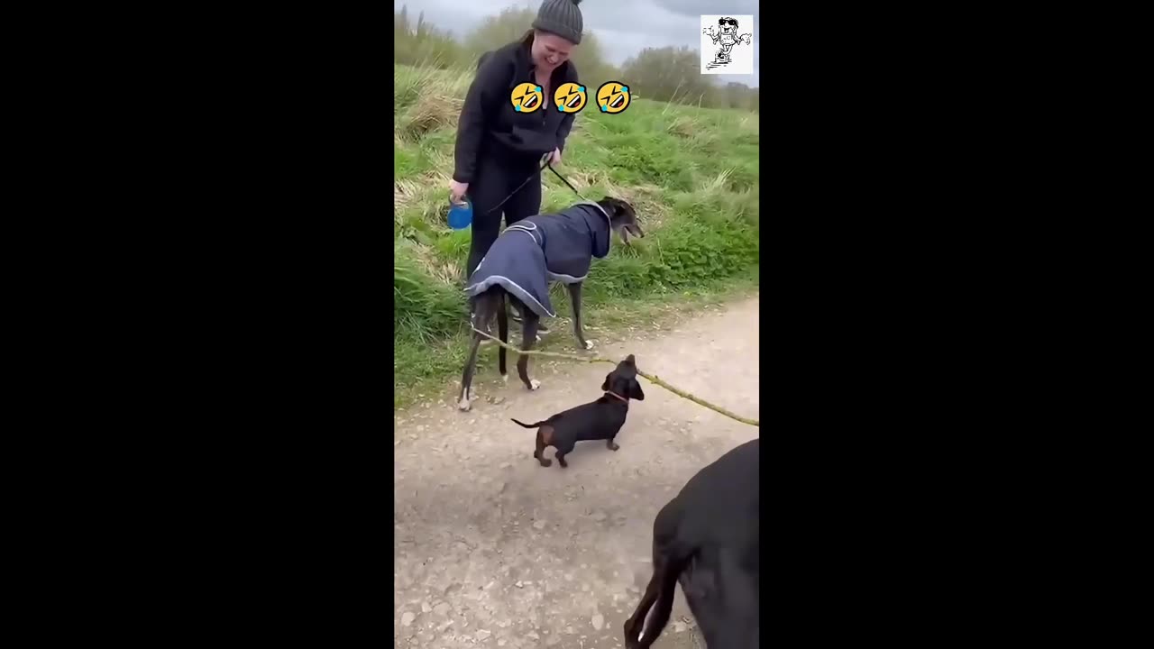 Little Cute Puppy Feels So Proud Of His Stick