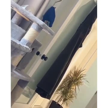 DON'T BE CURIOUS!!!! 😂😂😂😂😜