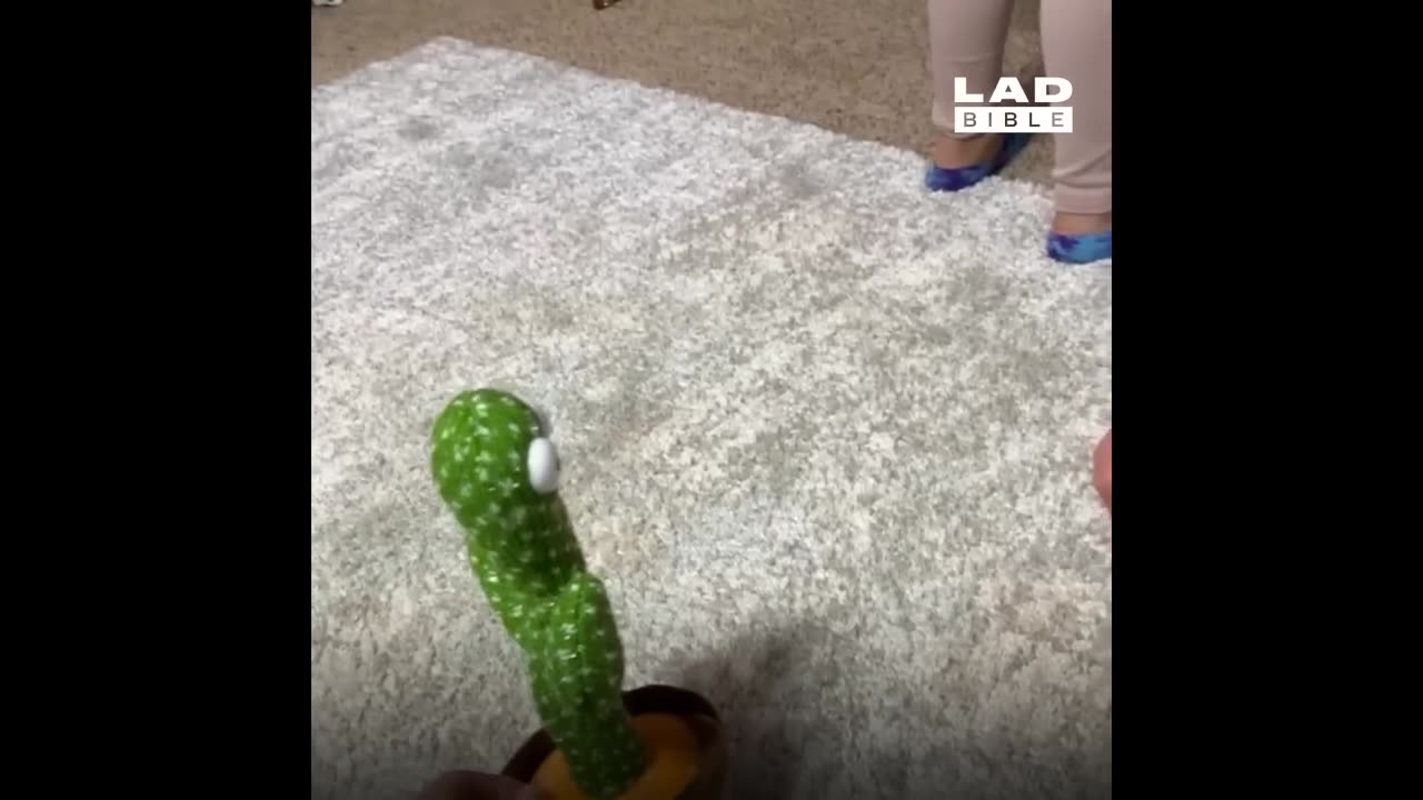 "Adorable Babies' Hilarious Shenanigans: A Comedy Show in Diapers!"
