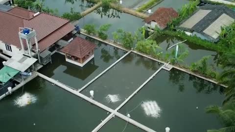 This App Helps GrowMore Fish
