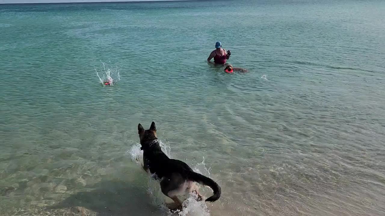 Mullis Learns to Swim