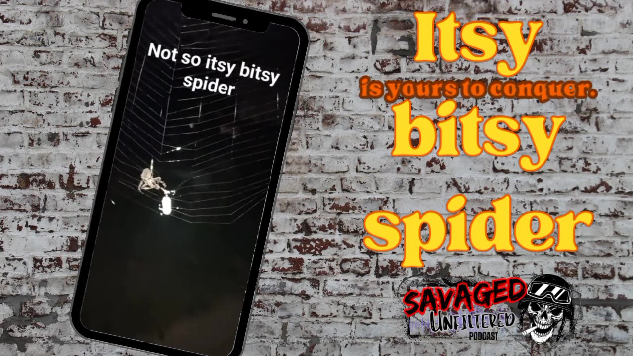 Michael's friend from New Jersey has a Spider problem....oops!