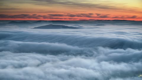 Spectacular River Of Mist At Dawn Free To Use Video Loop (No Copyright)