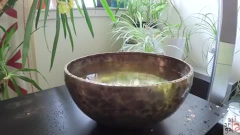 Singing bowl + Water = fun!