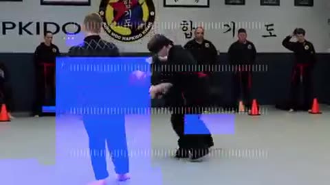 Jung Mu Kwan Hapkido