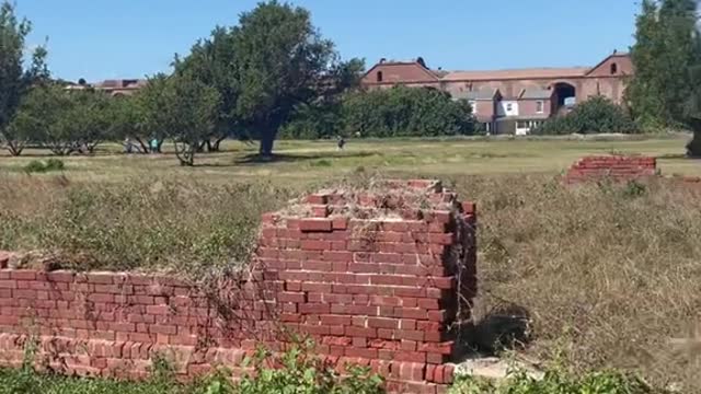 Caught a vibe at DryTortugas