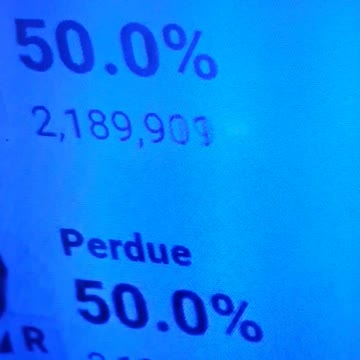 INTERNATIONAL WIDE ELECTION FRAUD VOTING MACHINE CRIME, GEORGIA RUNOFF SHAM ELECTION CRIME 307