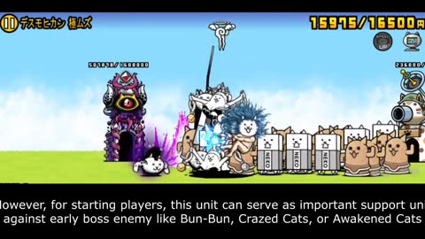 Enter Li'l Cat God / Secret Cat God! 11.5 Anniversary Special!! [The Battle Cats]