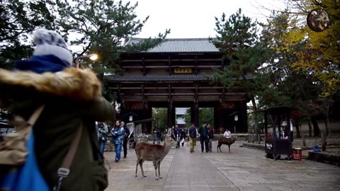 Top 10 Tourist Destinations in Japan:A Virtual Tour of Japan's Most Breathtaking Places travel video