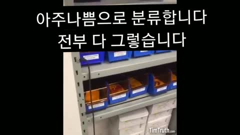 혈액 분류 (간호사)