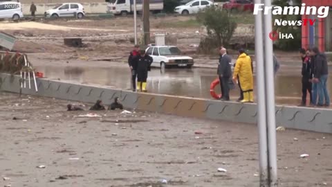 Setelah Gempa! Banjir kembali melanda Turki yang menyapu mobil mobil dan sedikitnya 10 orang tewas