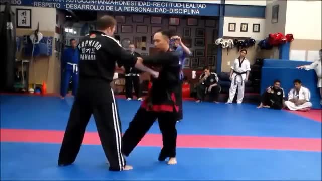 Hanminjok Hapkido