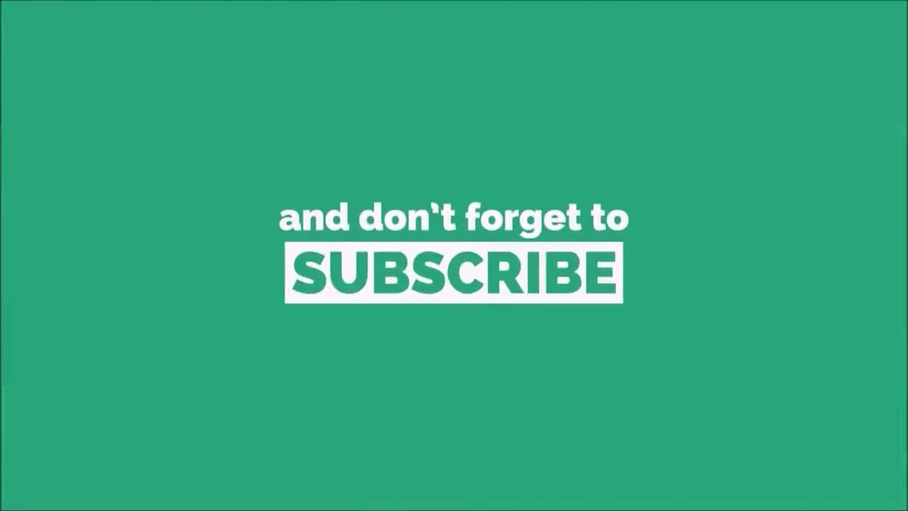 The Only Cat Fight Video You Need To Watch