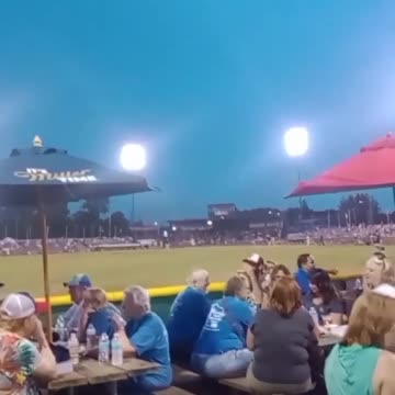 KINGFISH #Trump2024 🇺🇸🇺🇸🇺🇸 NCSWIC