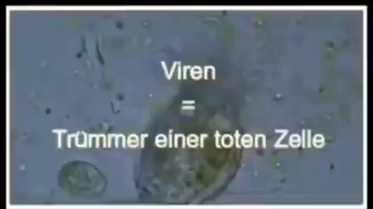 Viren Theorie Körper Zelle