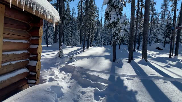 Leaving Swampy Shelter Log Cabin – Central Oregon – Swampy Lakes Sno-Park – 4K