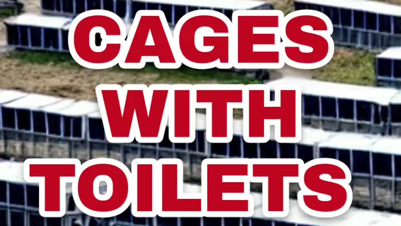 FEMA CAGES WITH TOILETS