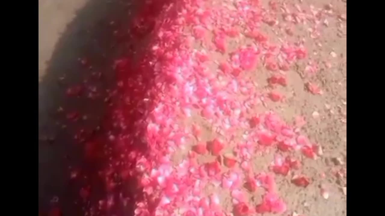 DileNadan