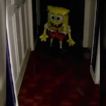 they woke up to find THIS in their house... #shorts