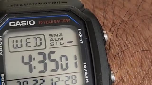 Casio Best $10 beater watch 2022