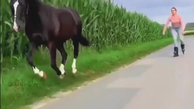 Skating With Horse- Exercise Time
