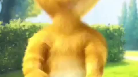 Cat 🐈 funny video/ cat video - funny animal video - pet animal funny video