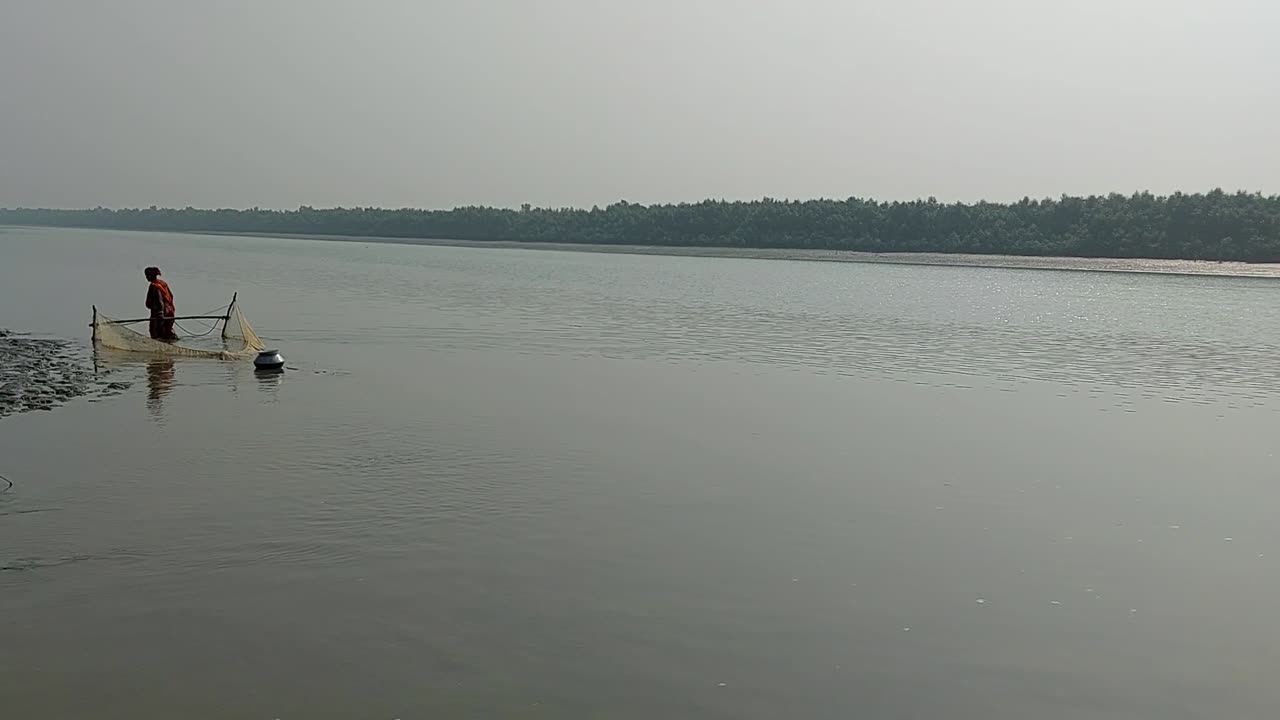 Sundarban, West Bengal, India